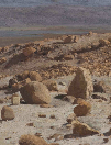 Masada- Land and Landscape / Uri Blayer